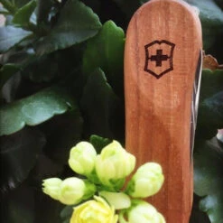 Victorinox Nail Clip 580 - Walnut -Campsite equipment 0.6461.63 5 600x600 5830c94e 67cf 474d b2ba 9efa7ef6d0f0