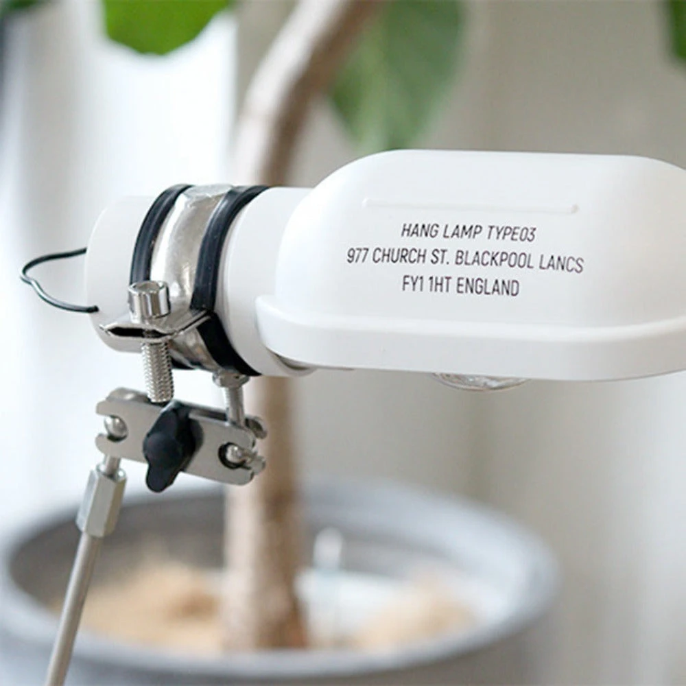 Post General Hang Lamp Type3 10 Post General Hang Lamp Type3 - Image 8