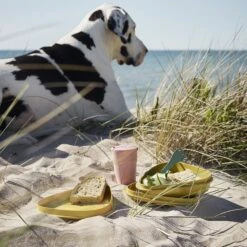 Light My Fire Eat´n Drink Kit BIO For 4 Nature 11 Light My Fire Eat´n Drink Kit BIO For 4 Nature -Campsite equipment 2f9ba20e0235df98918201b6cf544baa 1