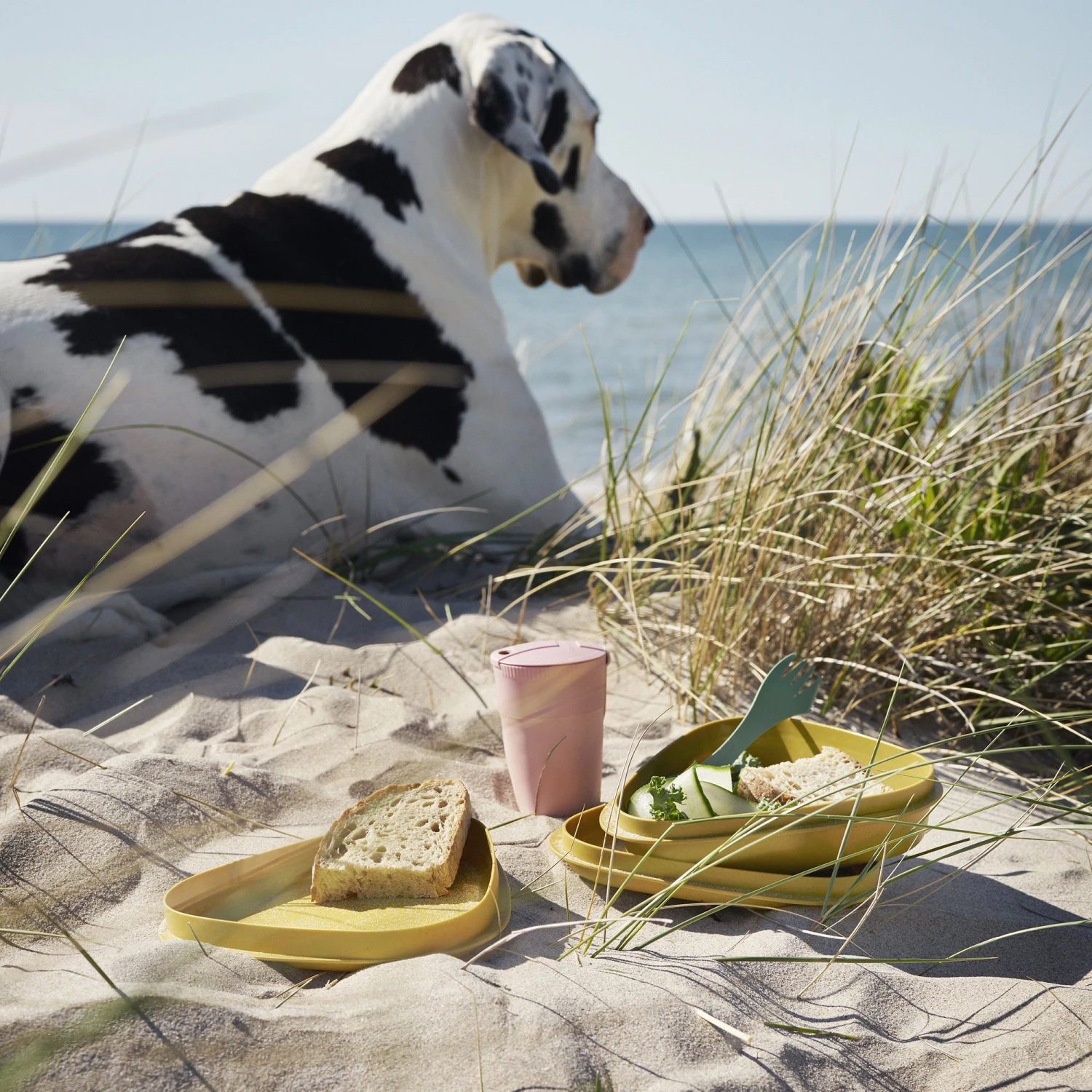 Light My Fire LunchKit BIO - Sandygreen 6 Light My Fire LunchKit BIO - Sandygreen - Image 4