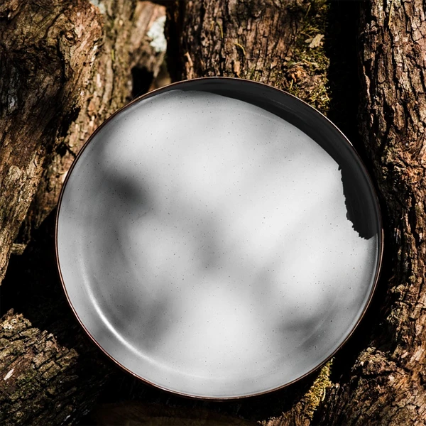 Barebones Enamel Plate - Set Of 2 10 Barebones Enamel Plate - Set Of 2 - Image 9