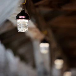 Barebones Beacon Kraft Packaging - Antique Bronze -Campsite equipment LIV 297 5 b108275a 0686 4a3a 84f6 cca8159ad8ee